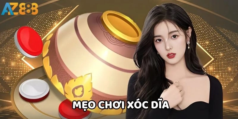 Các điều khoản và điều kiện cần có