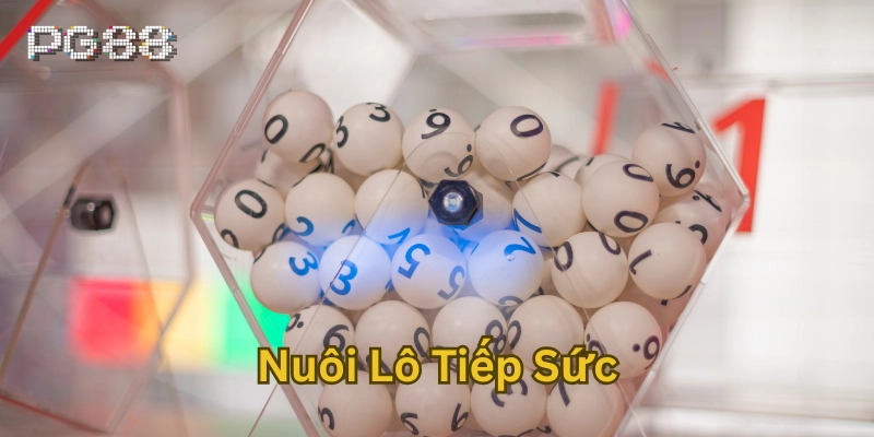 Cách vào tiền trong Nuôi Lô Tiếp Sức