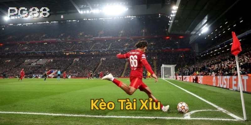 Kinh nghiệm chơi Kèo Tài Xỉu