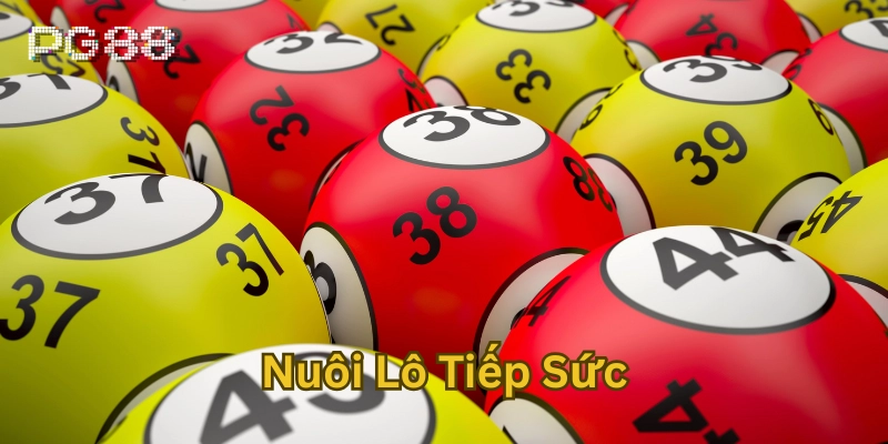 Lưu ý trong Nuôi Lô Tiếp Sức