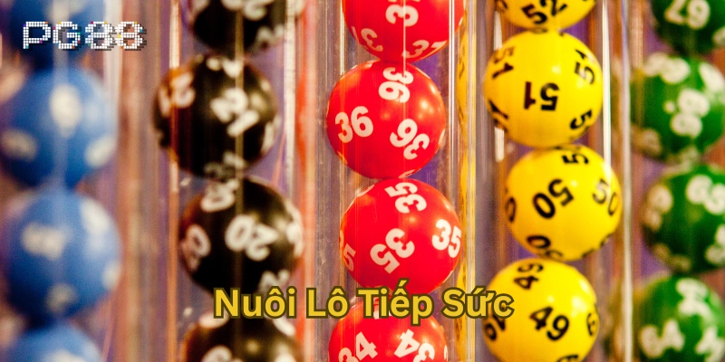 Nuôi Lô Tiếp Sức là gì?